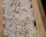 Foto langkah ke 6 dari resep Crunchy (Sushi) Roll.