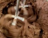 A picture of step 7 of Double Chocolate Cookies.