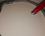 Foto del paso 3 de la receta: Yogurt Griego casero