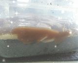 รูปขั้นตอนการทำที่ 4 ของ บานอฟฟี่(Banoffee)