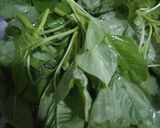 Foto langkah ke 1 dari resep Bening Bayam Wortel Labu Siam.