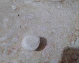 صورة لخطوة 7 من وصفة رغايف معسله