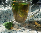 Foto del paso 9 de la receta: Infusión de menta piperita