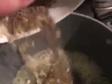 Sopa de zapallo italiano (Gajar Shorba)