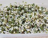 A picture of step 4 of Sprouted grain stir fry.