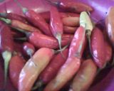 Foto del paso 1 de la receta: Guasacaca Picante