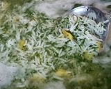 عکس مرحله 1 از دستور پلو باقلی شوید با ماهی رژیمی