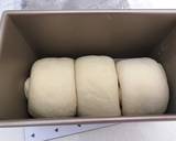 Rich white bread loaf recipe step 7 photo