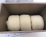 A picture of step 7 of Rich white bread loaf.