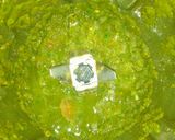A picture of step 2 of Mint sauce.