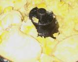 Chicken shami kabab recipe step 5 photo