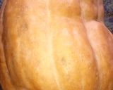 A picture of step 1 of Pumpkin.