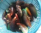 Foto langkah ke 1 dari resep Kerang Ijo Saos Tiram.