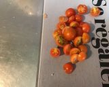 Une image de l'étape 6 de Canapés de saumon fumé,crème,aneth et tomates sur pain polaire.
