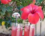 A picture of step 7 of Hibiscus-tender coconut cooler.