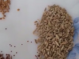 چھٹ پٹ لہسن اچار
