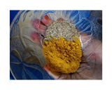 A picture of step 4 of Naija Jollof 101.