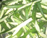 A picture of step 1 of Crispy Fry Okra.