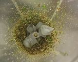 A picture of step 2 of Paan shot.