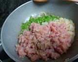 Pas rețetă Plăcinte din cărniță de curcan ! 4 fotografie