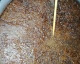 Foto del paso 9 de la receta: Pastel imposible (chocoflan)