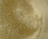 Foto del paso 2 de la receta: Dulce de batata
