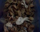 Foto langkah ke 1 dari resep Sambal Goreng Ati Ampela Krecek.