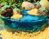 Foto del paso 25 de la receta: Pastel isla