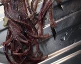 Foto del paso 2 de la receta Raspas de boquerón fritas 👌🏻😍