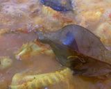Foto langkah ke 3 dari resep Gulai Ayam Khas Padang.
