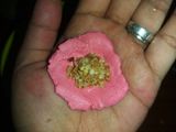 Wedang ronde