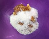 Foto langkah ke 1 dari resep Muesli Chewy Cookies #Recook #ResepJoanne Sebastian.