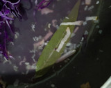 Foto del paso 9 de la receta: Col agridulce