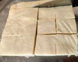 A picture of step 9 of Paneer / cottage cheese.