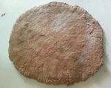 A picture of step 5 of Chocolate bread# Chocolate baking contest#.