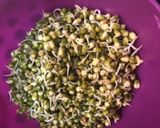 A picture of step 1 of Sprouted moong dal chaat.