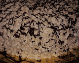Foto del paso 3 de la receta: Torta De Cumpleaños