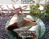 Foto langkah ke 1 dari resep Pindang Bandeng.