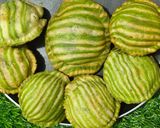 पालक मूंग दाल कचौड़ी (palak moong dal kachodi halwai style recipe in Hindi) रेसिपी चरण 12 फोटो