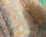 Foto langkah ke 1 dari resep Roti goreng sosis.