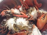 Kepiting Saos Tiram (Pedas)