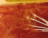 Foto del paso 5 de la receta: Gelatina de mosaico😋