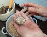 Foto del paso 14 de la receta: Albóndigas de Berenjena en Filetto con variaciones