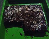 Foto langkah ke 5 dari resep Brownies Lumer Ekonomis.