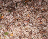 Foto del paso 5 de la receta: Arroz cantonés 🌾