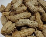 Foto langkah ke 4 dari resep Kacang Tanah Rebus.