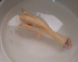 A picture of step 2 of Chicken Paws Broth.