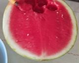 Foto langkah ke 1 dari resep Es Semangka Simpel.