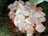 Rendang Daging Sapi (Ala Aku)