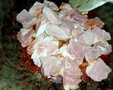 Foto langkah ke 4 dari resep Rendang Daging Sapi (Ala Aku).